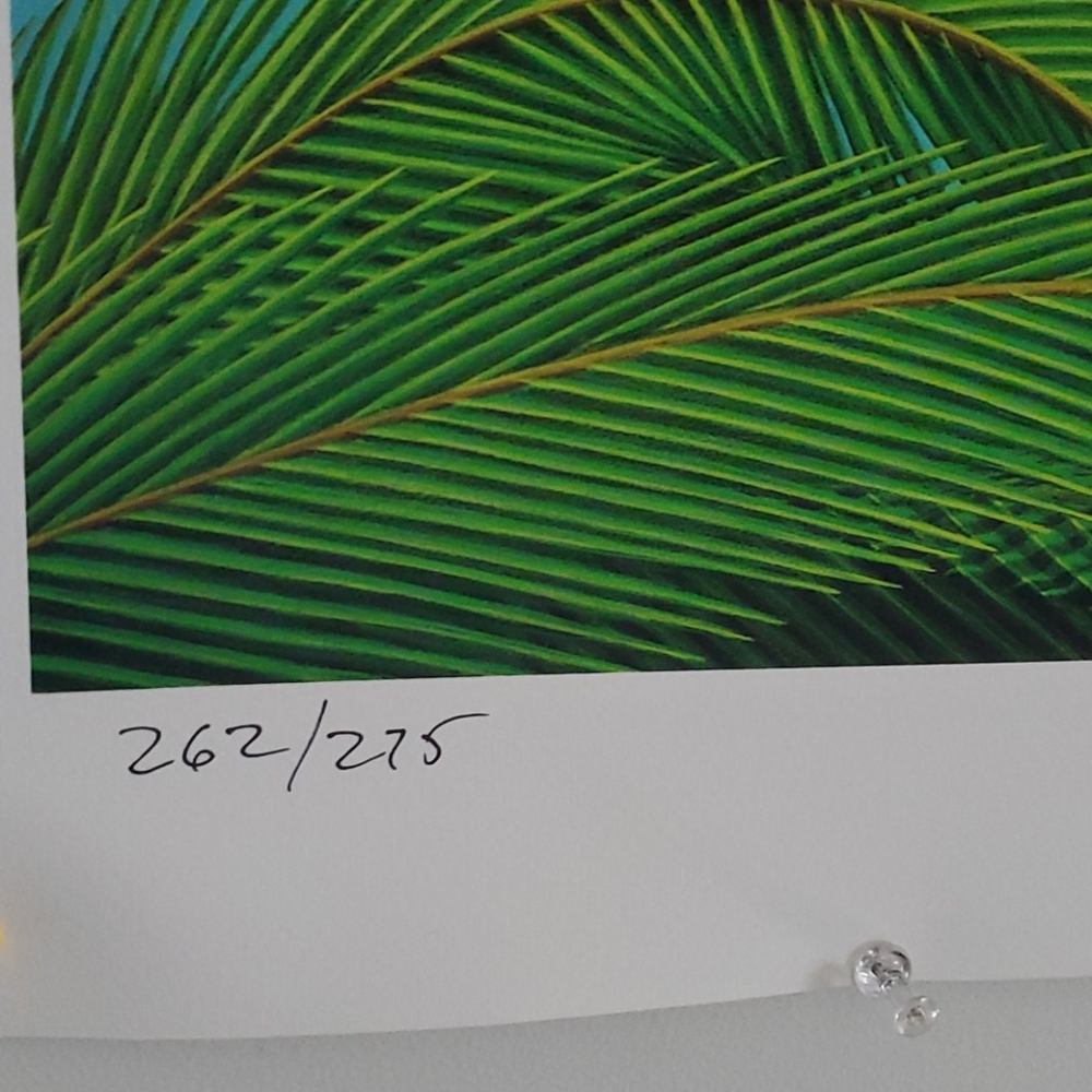 Painting - Picture 2 of 4